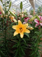 [5176 Corcovado No01.JPG]